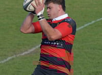 Wellington set to lose one of the Hodgson brothers