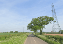 Swan killed by overhead power lines cuts electricity supplies in Wellington area