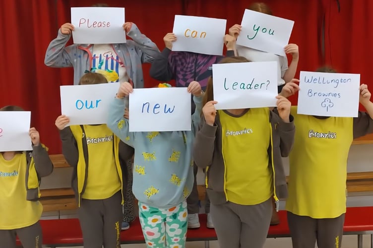 Wellington Brownies are at risk of closing unless new volunteers can be found.