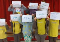 Volunteers needed to save Wellington Brownies from closure