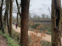 Greenway walk for 'idea of what to expect'