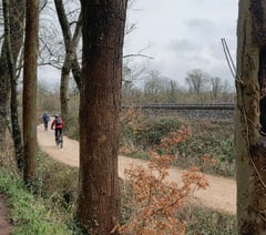 Public views sought on greenway plans