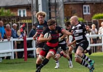 Wellington hoping to include comeback kid Kitto in home game