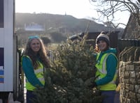 St Margaret's Hospice raises £47,000 with tree collection