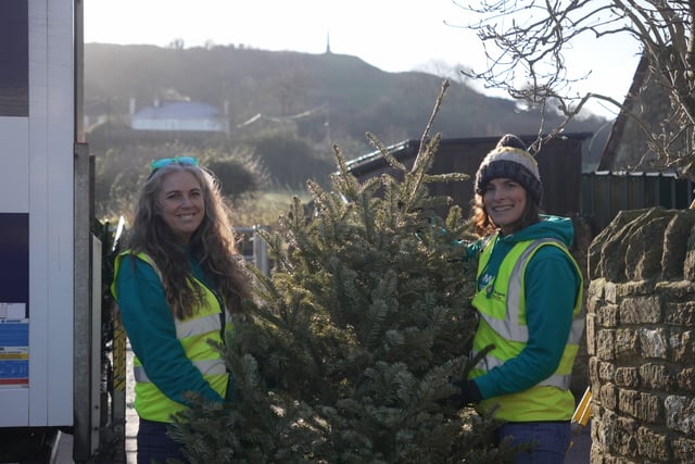 St Margaret's Hospice raises £47,000 with tree collection