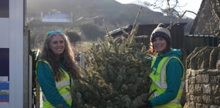 St Margaret's Hospice raises £47,000 with tree collection