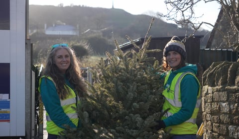 St Margaret's Hospice raises £47,000 with tree collection