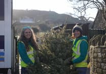 St Margaret's Hospice raises £47,000 with record Christmas tree collection