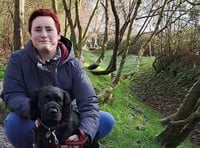 Labour candidate chosen for Rockwell Green by-election