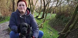 Labour candidate chosen for Rockwell Green by-election