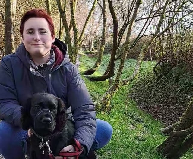 Labour candidate chosen for Rockwell Green by-election