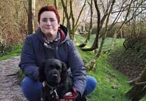 Labour's Rockwell Green by-election candidate announced