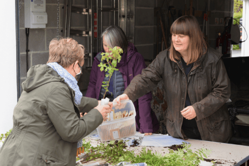 Free trees are being given away by Devon Wildlife Trust from a hub on the Blackdown Hills in February.