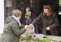 Wildlife trust's Hemyock hub has five free trees for people to take and plant