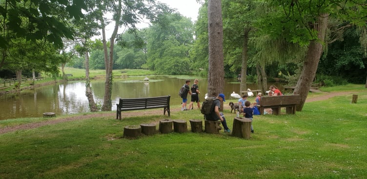 One of the ponds which gives Wellington Basins its name.