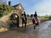 Three local winners at Taunton Races held in sunshine