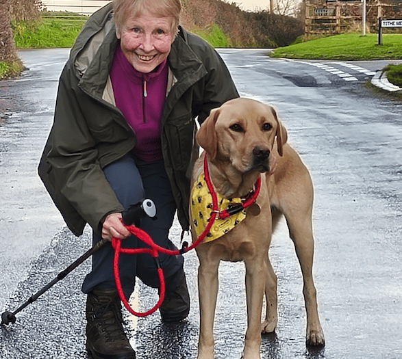 Dog and owner walking 100 miles for charity
