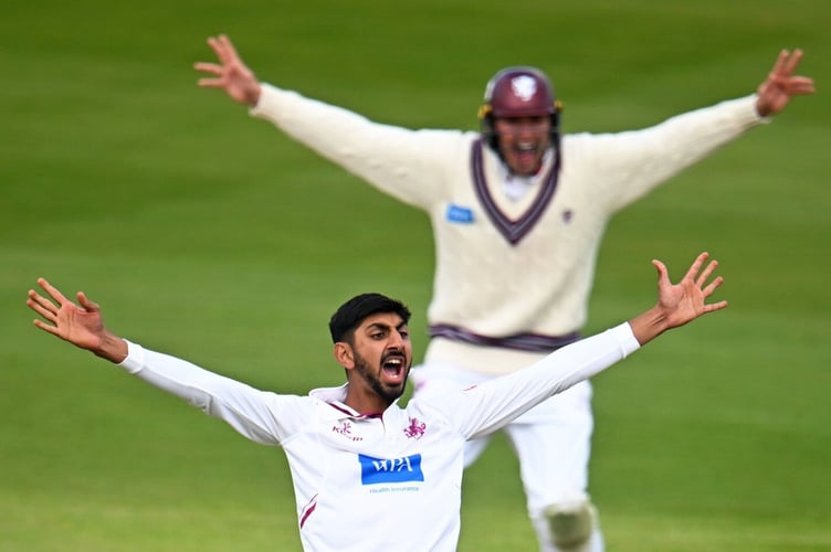 Shoaib Bashir - has left Somerset to join Derbyshire