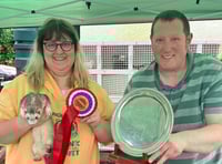 Thrity-two prized ferrets stolen from Nynehead home