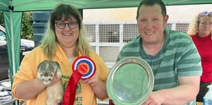 Thrity-two prized ferrets stolen from Nynehead home