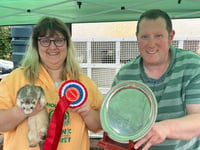Thrity-two prized ferrets stolen from Nynehead home