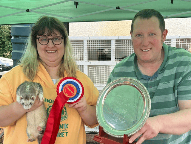 Thrity-two prized ferrets stolen from Nynehead home