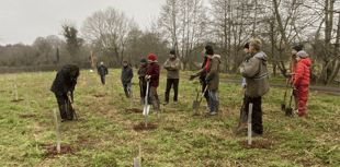 Tips and tricks to tackle climate change