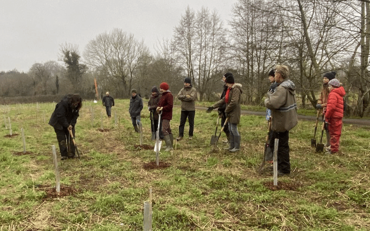 Town council staff and volunteers plant trees in the Wellington Basins nature area.