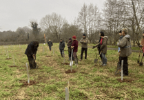 Wellington Town Council offers 'tips & tricks' for residents to tackle climate change