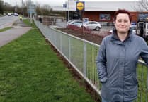 Campaign to force planting of hedgerows intended to screen Wellington Lidl store