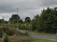Councillors urge Lidl to plant new hedges