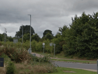Councillors urge Lidl to plant new hedges