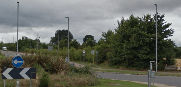 The mature hedgerow and trees which were later ripped out by Lidl when it built a supermarket on the edge of Wellington.