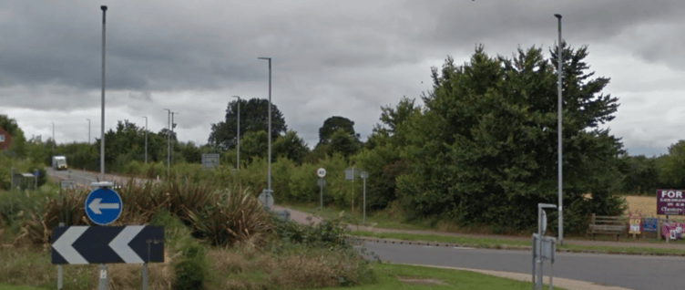 The mature hedgerow and trees which were later ripped out by Lidl when it built a supermarket on the edge of Wellington.