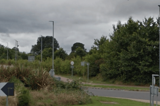 The mature hedgerow and trees which were later ripped out by Lidl when it built a supermarket on the edge of Wellington.