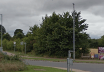 Councillor warns that Wellington Lidl could be bulldozed unless they plant new hedges