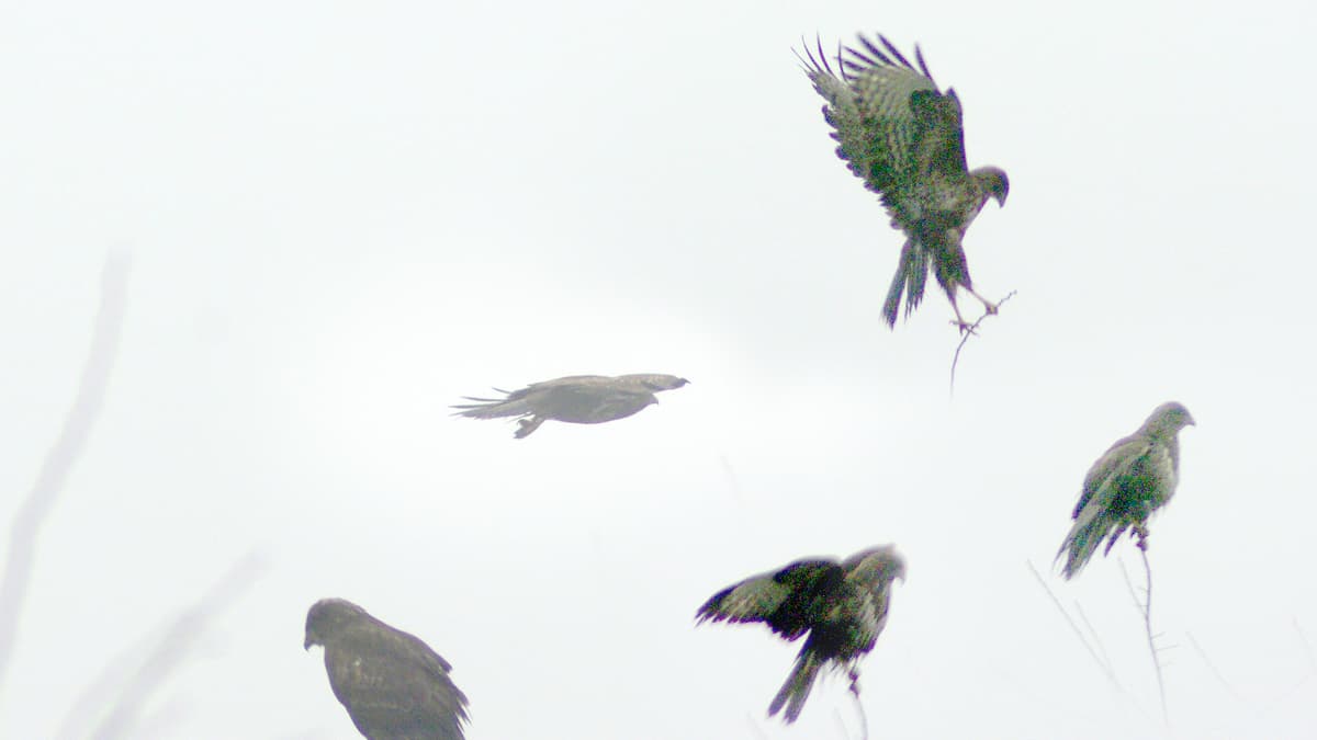 Letters from our readers in Wellington