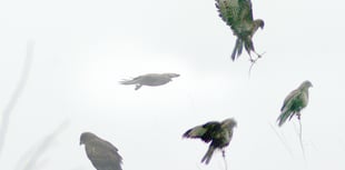 Letters from our readers in Wellington