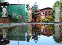 When water refuses to behave around your Wellington home