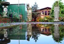 When water refuses to behave around your Wellington home