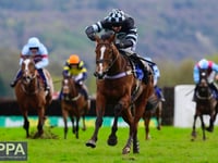 Point to point blow for Tiverton Foxhounds at Chipley