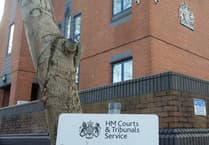 Alcohol and mental health treatment for Wellington man after police officer assault