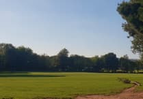 Town council to look into 'inclusive' play areas for Wellington children