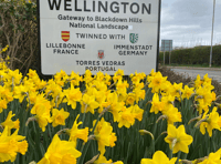 Town may see gardens competition revived