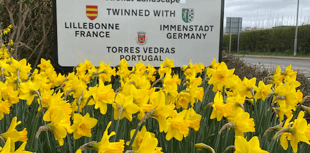 Town may see gardens competition revived