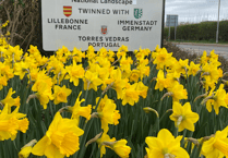 Wellington council looking for green-fingered residents to enter gardens competition