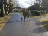 Dog control orders to be brought in