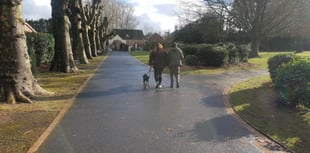 Dog control orders to be brought in