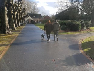 Dog control orders to be brought in