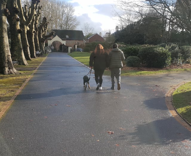 Dog control orders to be brought in